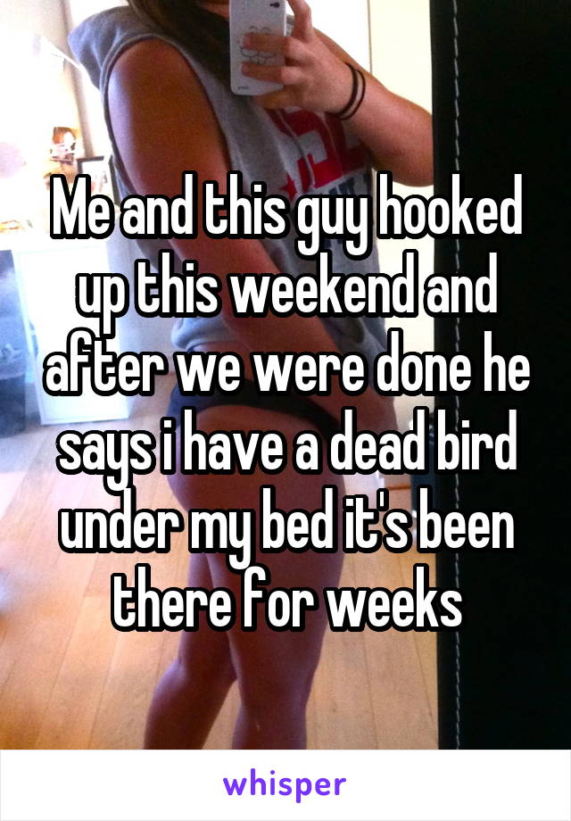 Me and this guy hooked up this weekend and after we were done he says i have a dead bird under my bed it's been there for weeks