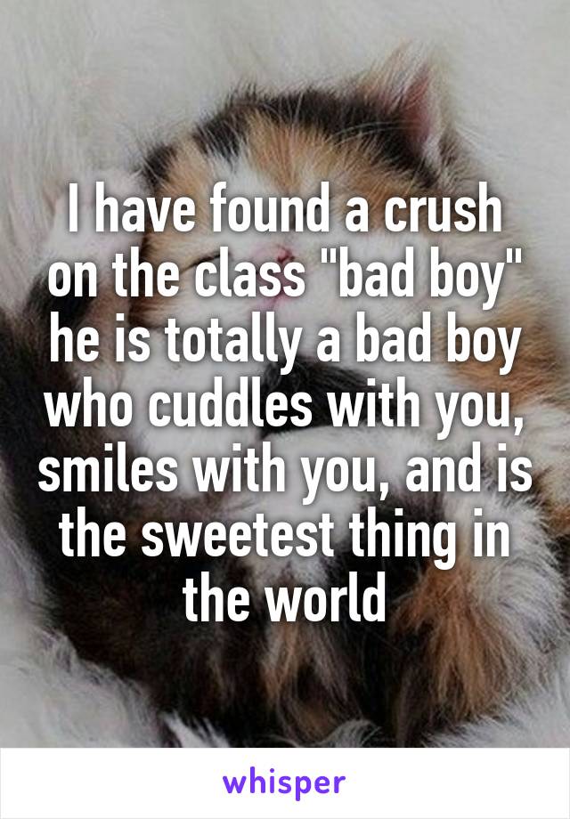 I have found a crush on the class "bad boy" he is totally a bad boy who cuddles with you, smiles with you, and is the sweetest thing in the world