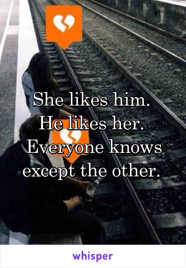 She likes him. 
He likes her. 
Everyone knows except the other. 