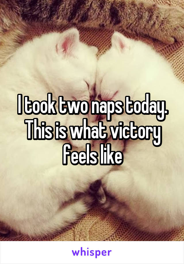 I took two naps today. This is what victory feels like