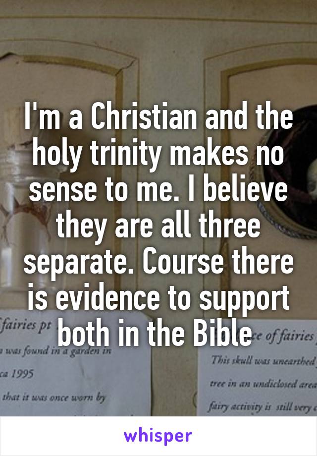 I'm a Christian and the holy trinity makes no sense to me. I believe they are all three separate. Course there is evidence to support both in the Bible 