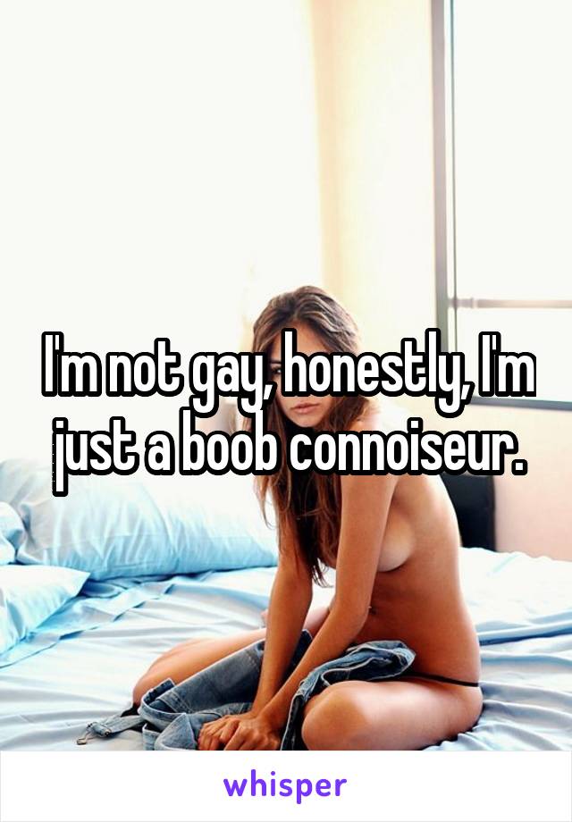 I'm not gay, honestly, I'm just a boob connoiseur.