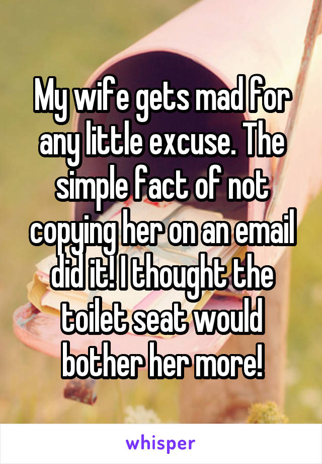 My wife gets mad for any little excuse. The simple fact of not copying her on an email did it! I thought the toilet seat would bother her more!