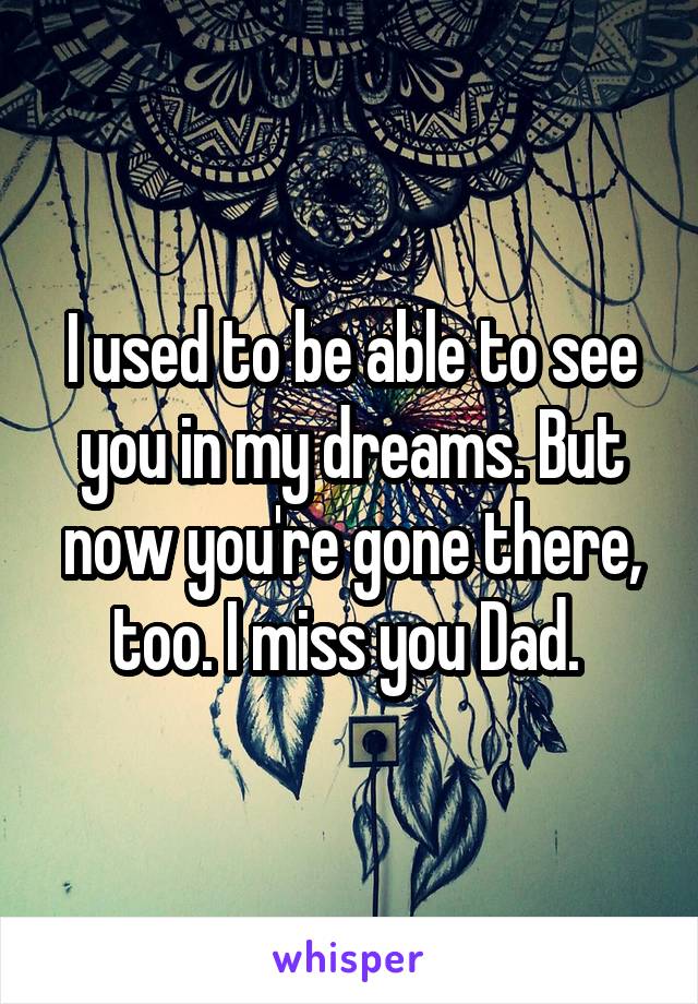 I used to be able to see you in my dreams. But now you're gone there, too. I miss you Dad. 