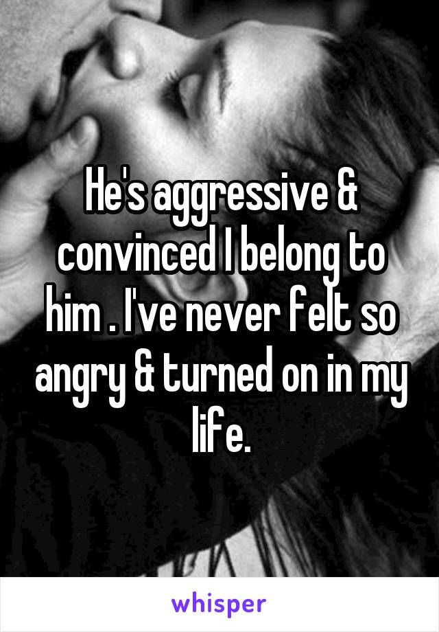 He's aggressive & convinced I belong to him . I've never felt so angry & turned on in my life.