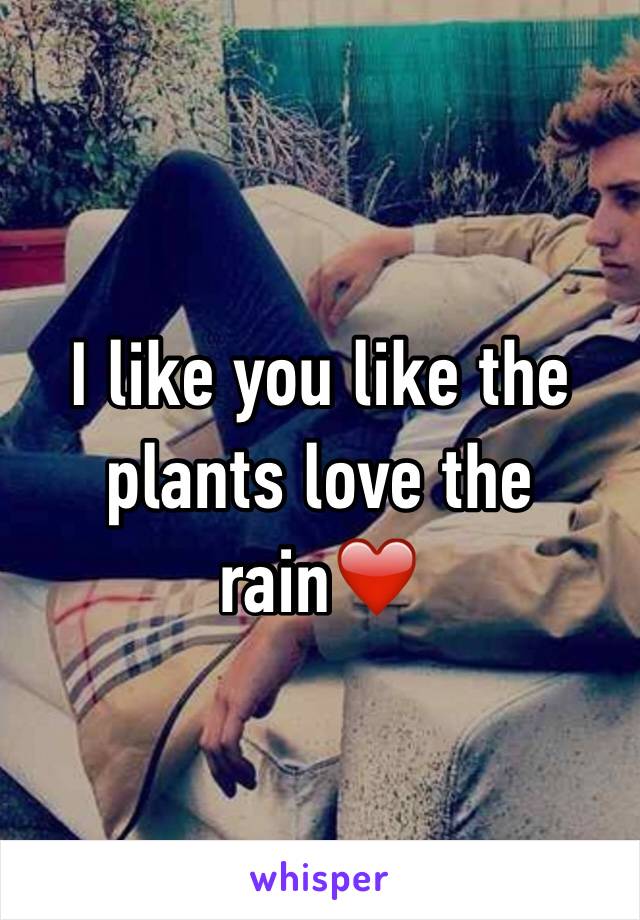 I like you like the plants love the rain❤️