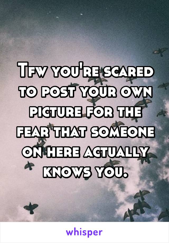 Tfw you're scared to post your own picture for the fear that someone on here actually knows you.