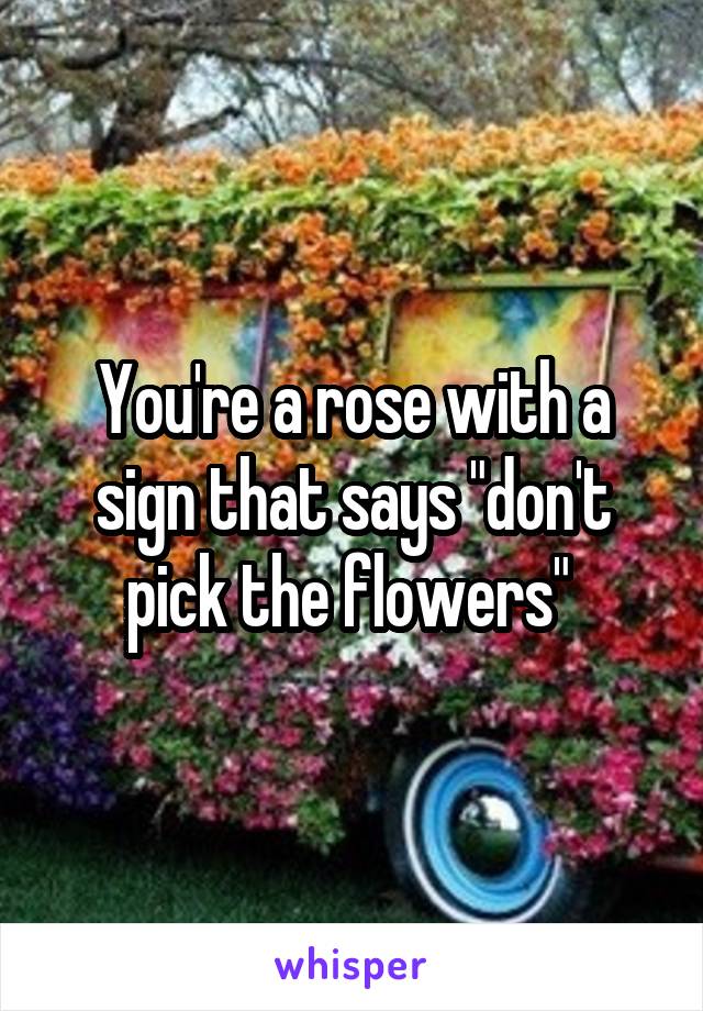 You're a rose with a sign that says "don't pick the flowers" 