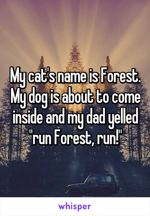 My cat's name is Forest. My dog is about to come inside and my dad yelled "run Forest, run!"