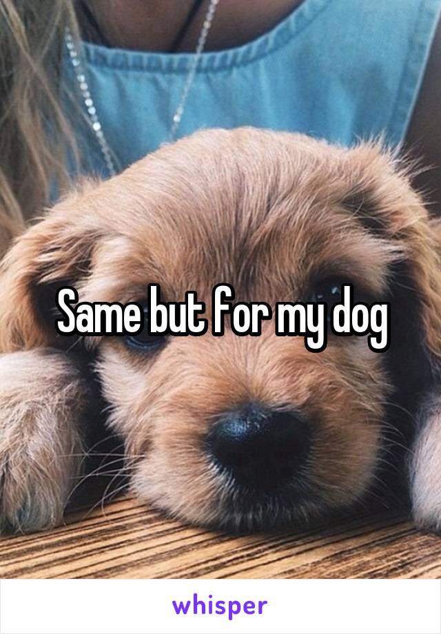 Same but for my dog