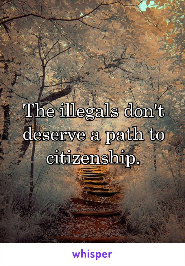 The illegals don't deserve a path to citizenship.