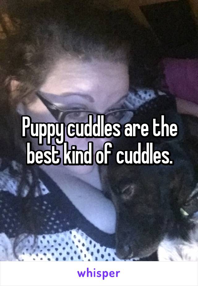 Puppy cuddles are the best kind of cuddles.