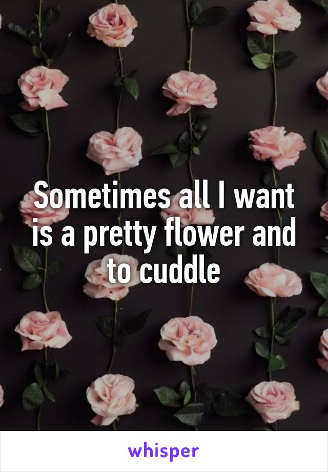 Sometimes all I want is a pretty flower and to cuddle