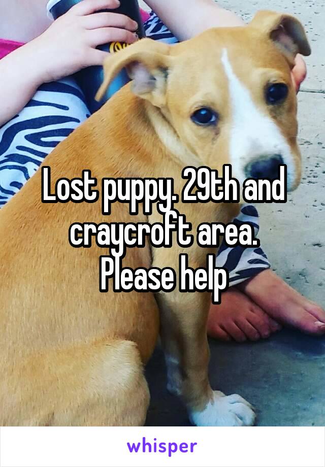 Lost puppy. 29th and craycroft area.
Please help