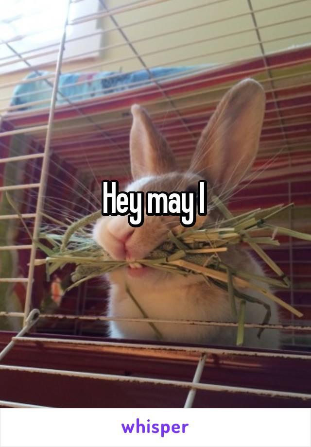 Hey may I 
