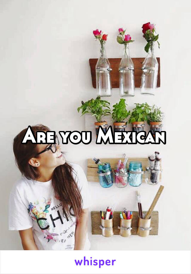 Are you Mexican 