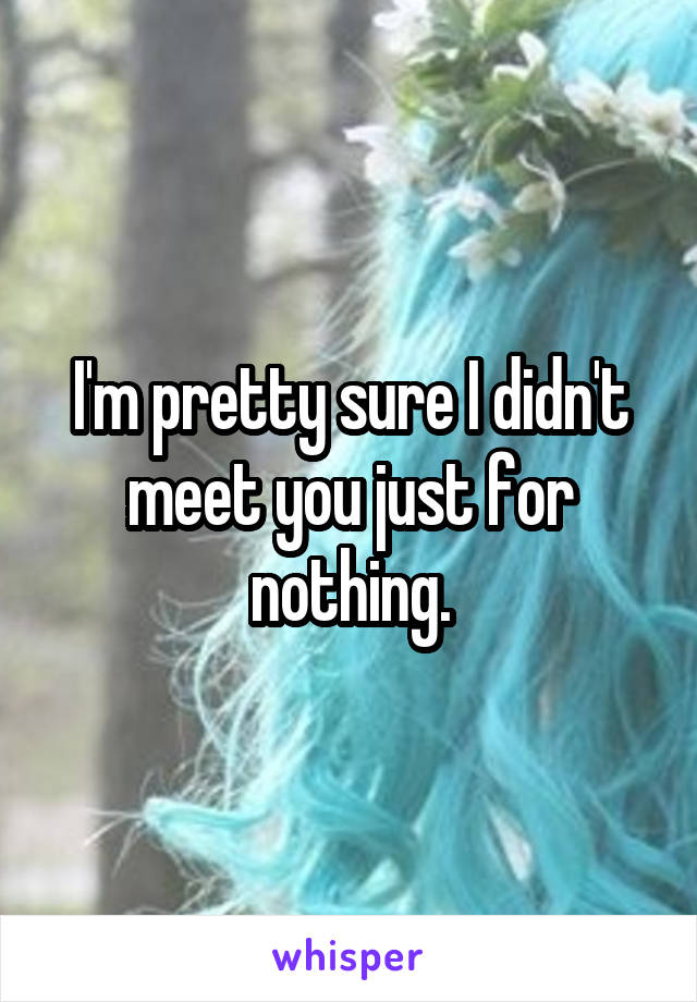 I'm pretty sure I didn't meet you just for nothing.