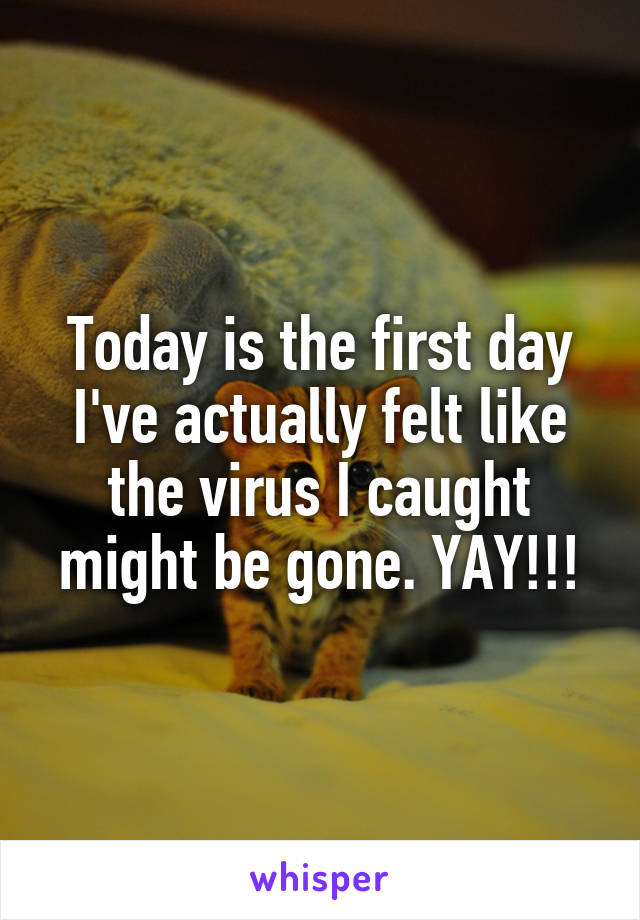 Today is the first day I've actually felt like the virus I caught might be gone. YAY!!!