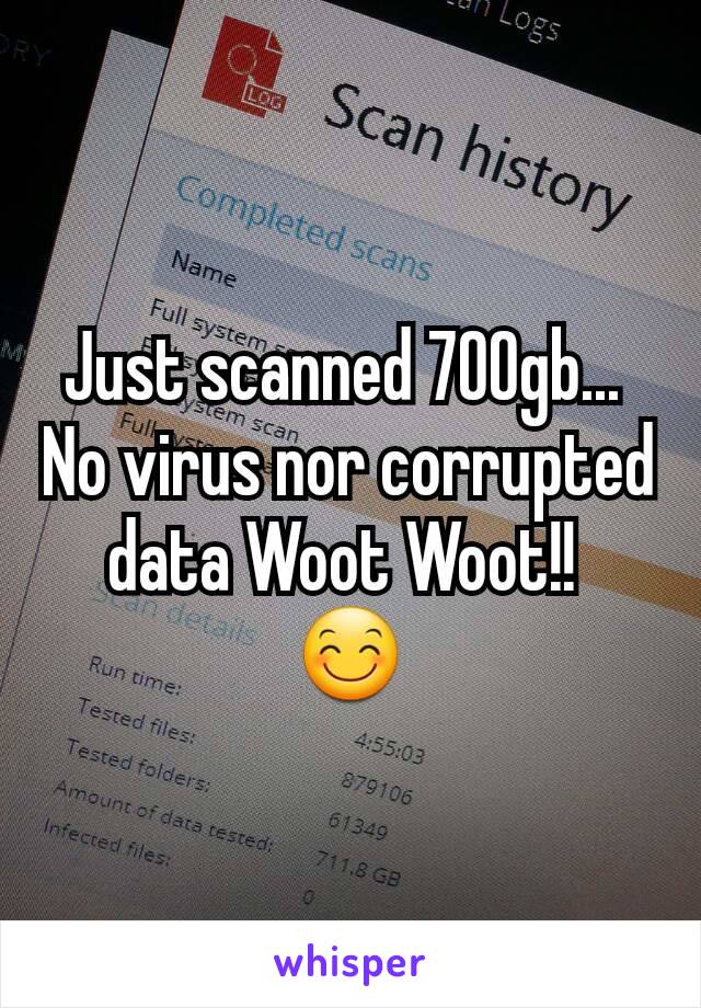 Just scanned 700gb... 
No virus nor corrupted data Woot Woot!! 
😊