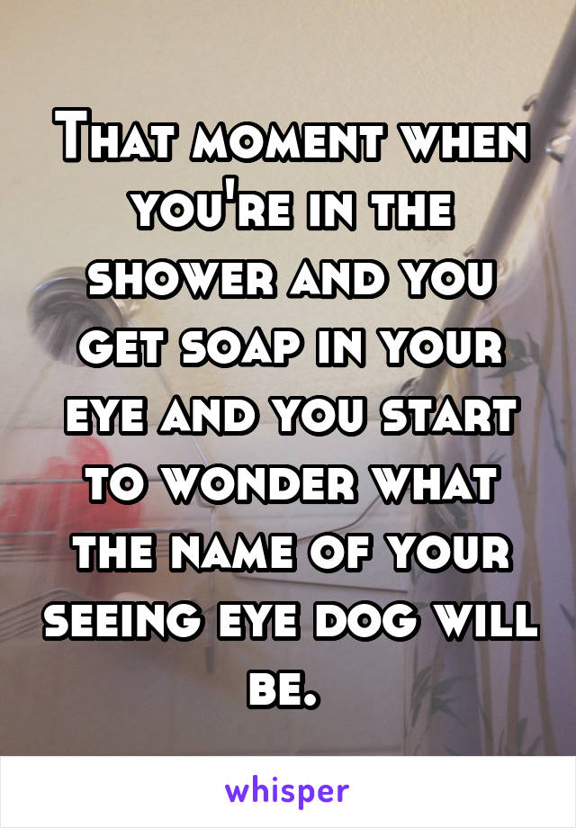 That moment when you're in the shower and you get soap in your eye and you start to wonder what the name of your seeing eye dog will be. 