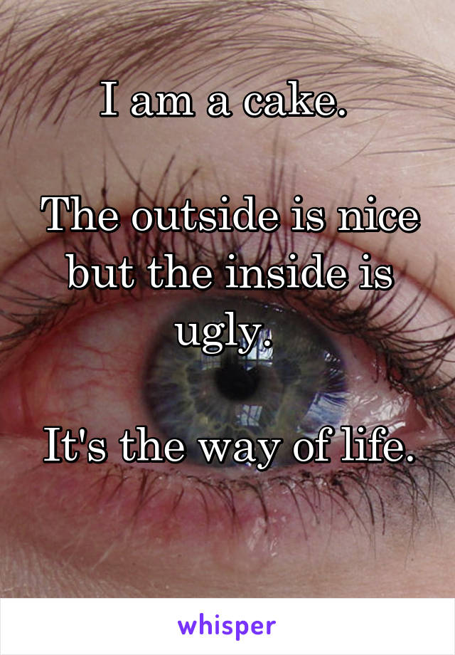 I am a cake. 

The outside is nice but the inside is ugly. 

It's the way of life.

