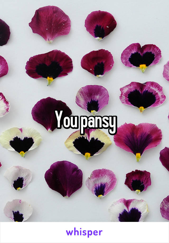 You pansy