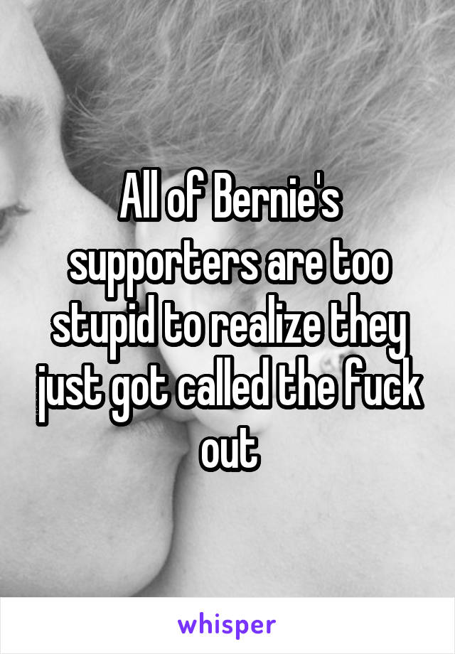 All of Bernie's supporters are too stupid to realize they just got called the fuck out