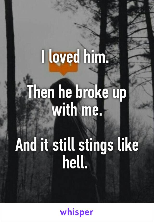 I loved him. 

Then he broke up with me.

And it still stings like hell. 