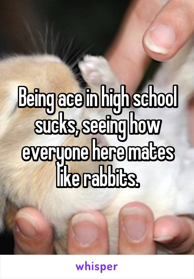 Being ace in high school sucks, seeing how everyone here mates like rabbits.