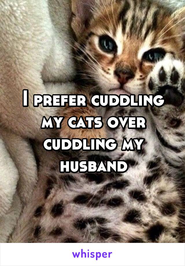 I prefer cuddling my cats over cuddling my husband