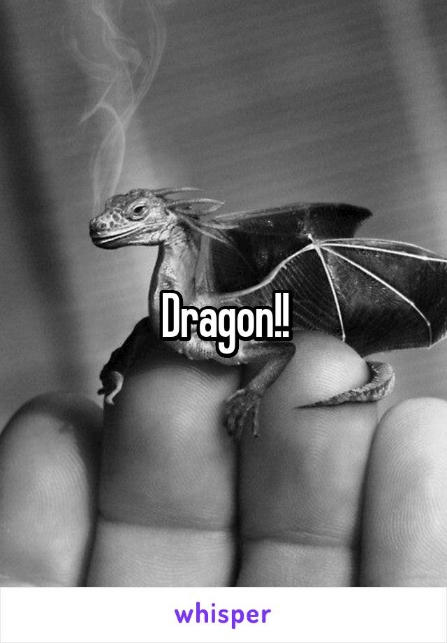 Dragon!!