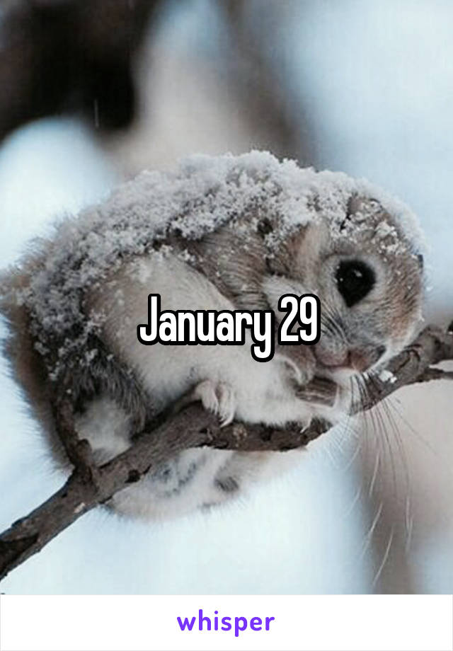 January 29