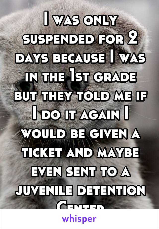 I was only suspended for 2 days because I was in the 1st grade but they told me if I do it again I would be given a ticket and maybe even sent to a juvenile detention Center