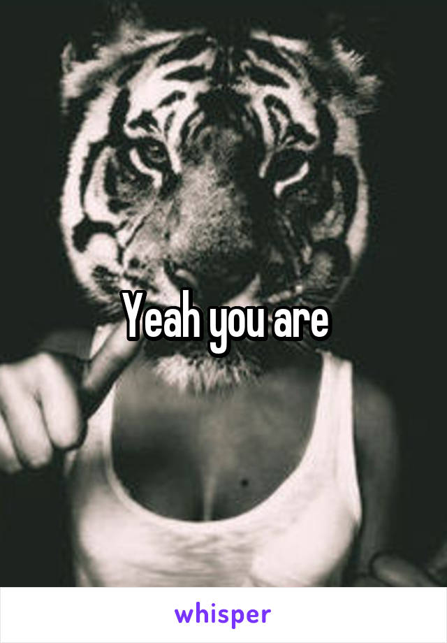 Yeah you are