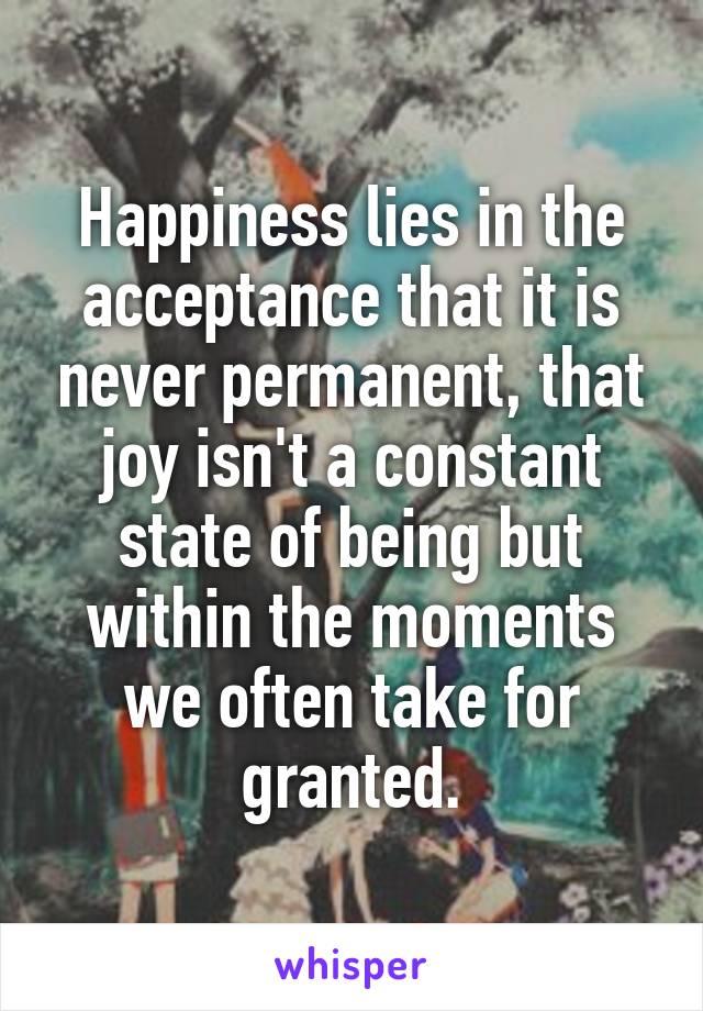 Happiness lies in the acceptance that it is never permanent, that joy isn't a constant state of being but within the moments we often take for granted.