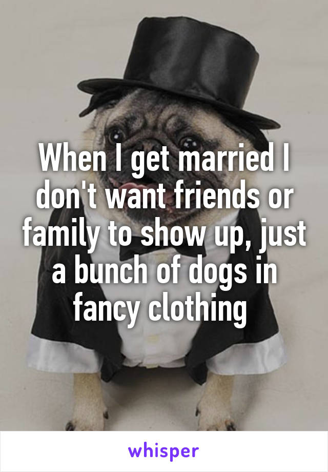 When I get married I don't want friends or family to show up, just a bunch of dogs in fancy clothing 