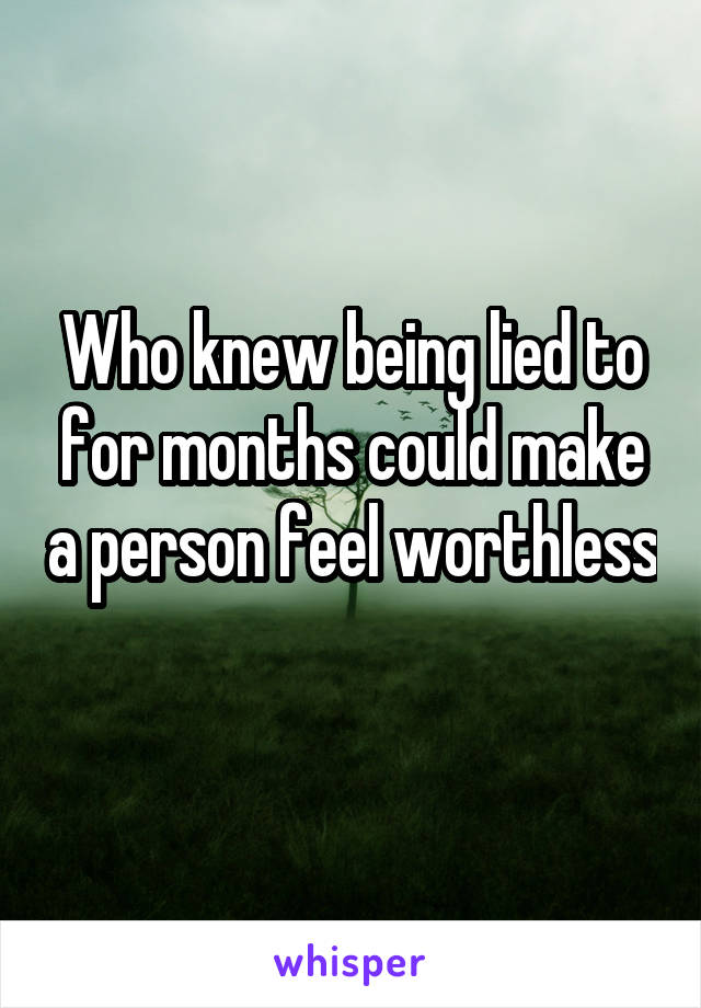 Who knew being lied to for months could make a person feel worthless 