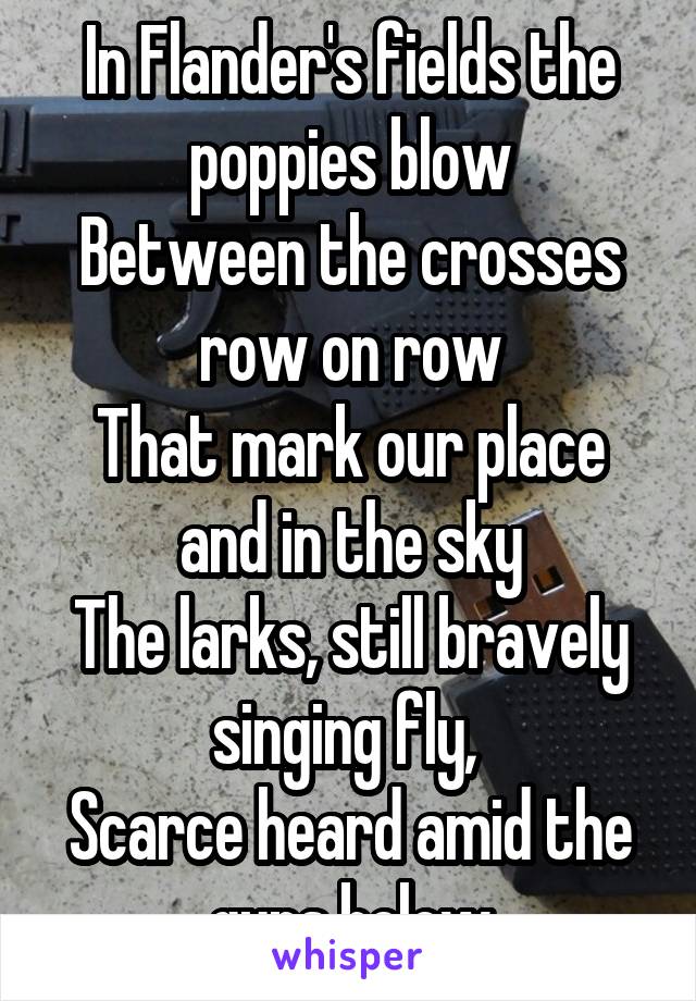 In Flander's fields the poppies blow
Between the crosses row on row
That mark our place and in the sky
The larks, still bravely singing fly, 
Scarce heard amid the guns below