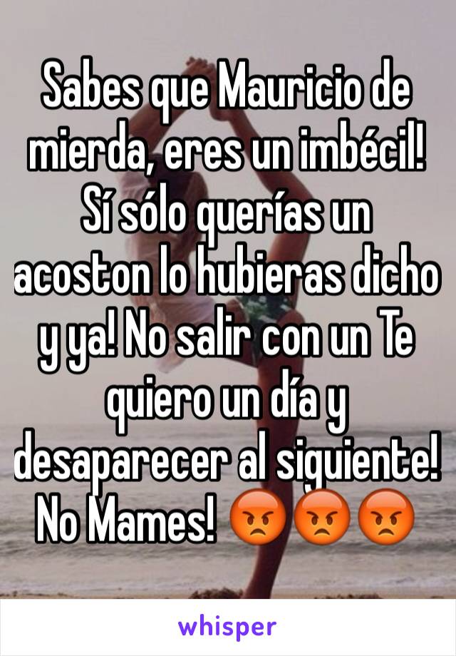 Sabes que Mauricio de mierda, eres un imbécil!  Sí sólo querías un acoston lo hubieras dicho y ya! No salir con un Te quiero un día y desaparecer al siguiente! No Mames! 😡😡😡