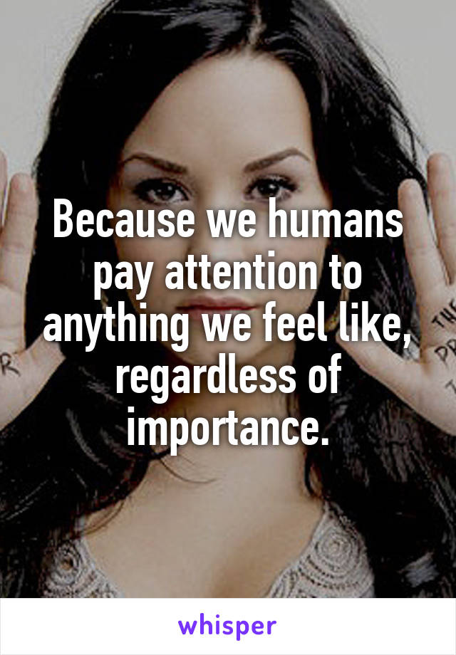 Because we humans pay attention to anything we feel like, regardless of importance.