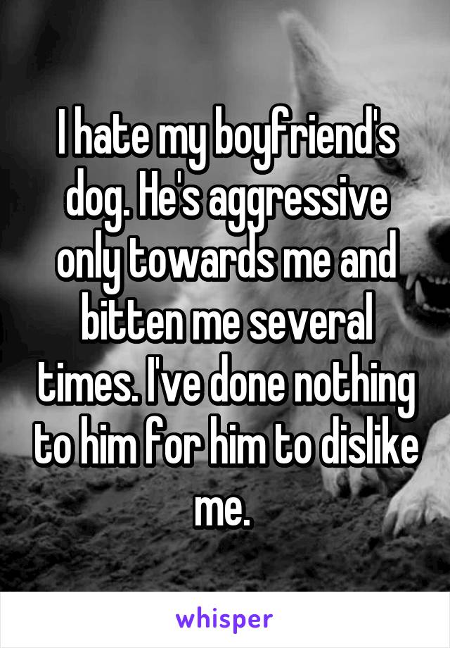 I hate my boyfriend's dog. He's aggressive only towards me and bitten me several times. I've done nothing to him for him to dislike me. 