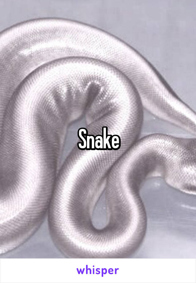 Snake