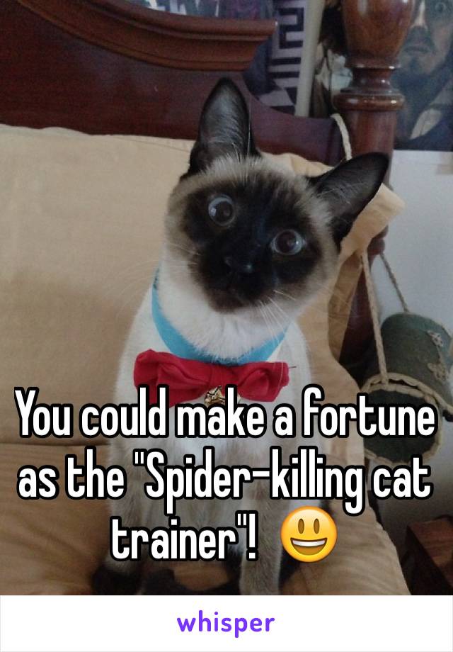 You could make a fortune as the "Spider-killing cat trainer"!  😃