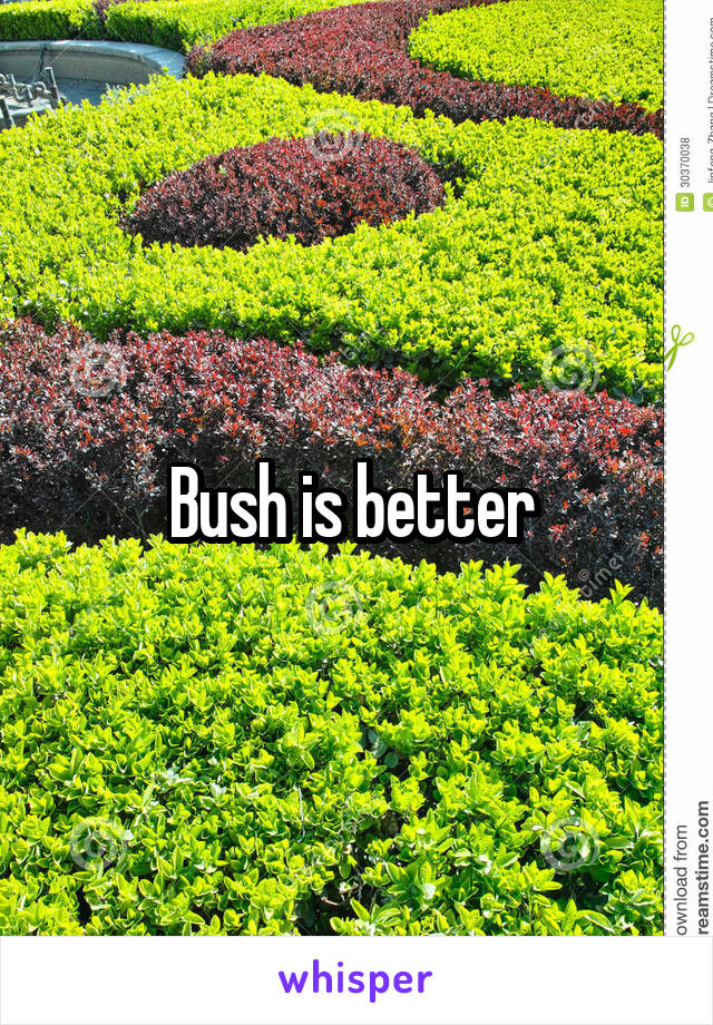 Bush is better 