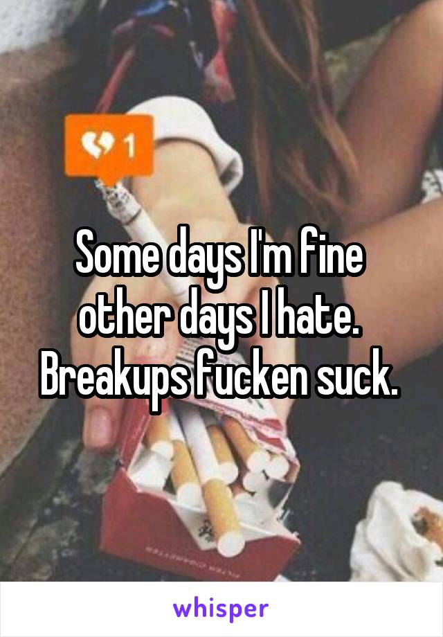 Some days I'm fine 
other days I hate. 
Breakups fucken suck. 