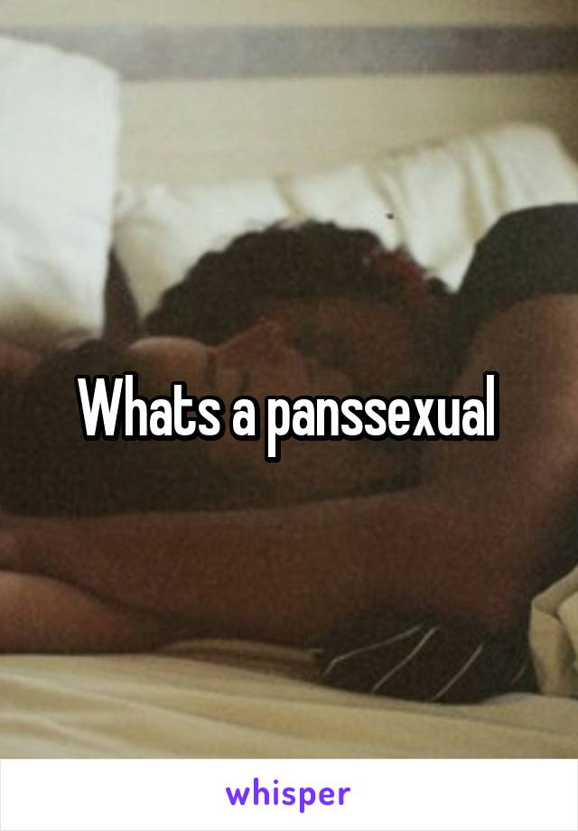 Whats a panssexual 