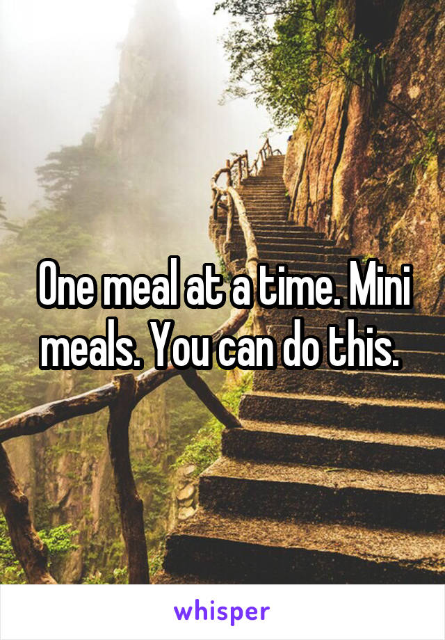 One meal at a time. Mini meals. You can do this. 