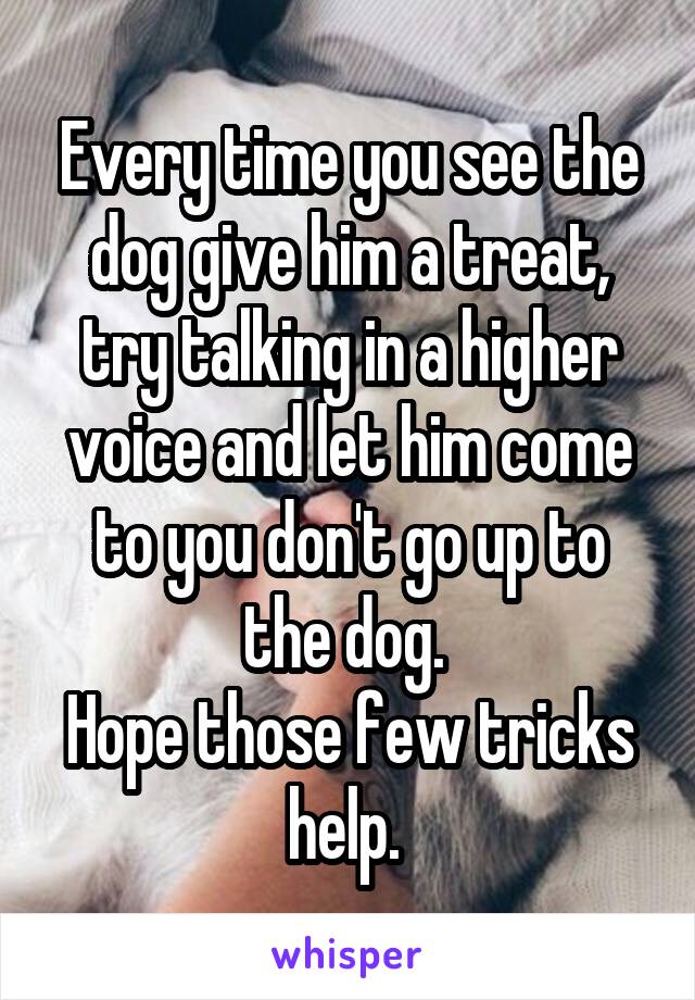 Every time you see the dog give him a treat, try talking in a higher voice and let him come to you don't go up to the dog. 
Hope those few tricks help. 