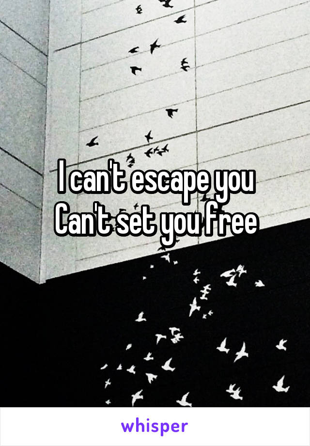 I can't escape you
Can't set you free
