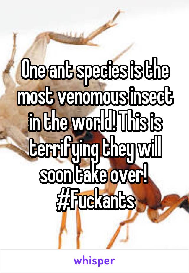 One ant species is the most venomous insect in the world! This is terrifying they will soon take over! 
#Fuckants